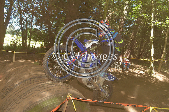 DSC_1784