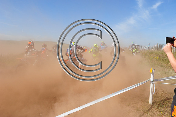 DSC_8224