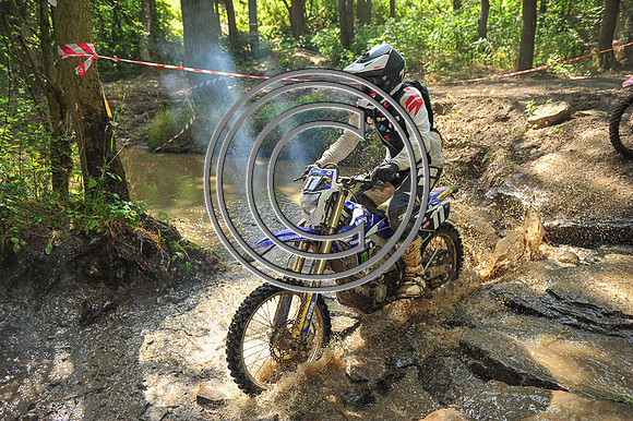 DSC_8464