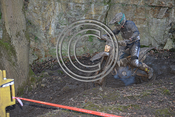 DSC_1733