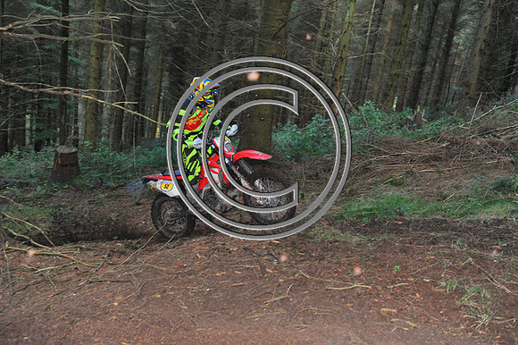 DSC_2065