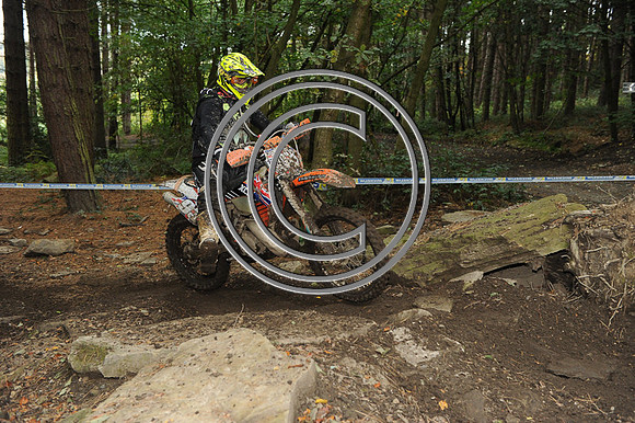 DSC_0774
