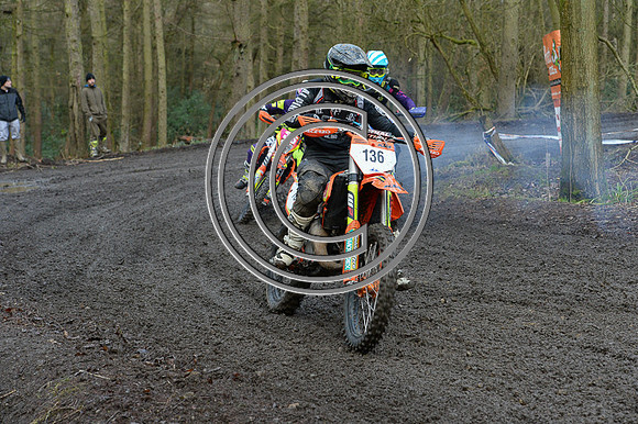 DSC_4519