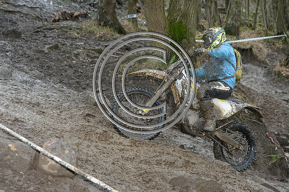 DSC_4687