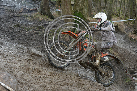 DSC_4698