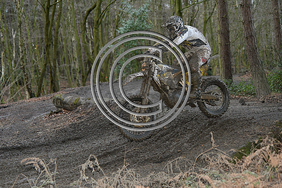 DSC_4884