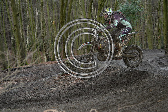 DSC_4906