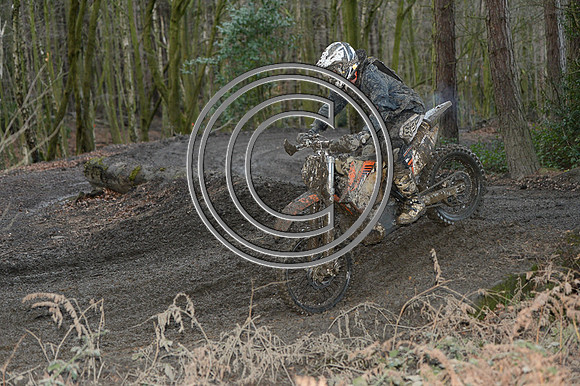 DSC_4907