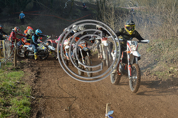 DSC_5325Z