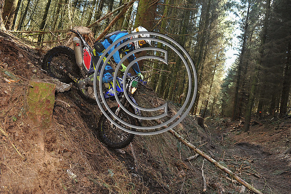 DSC_0074