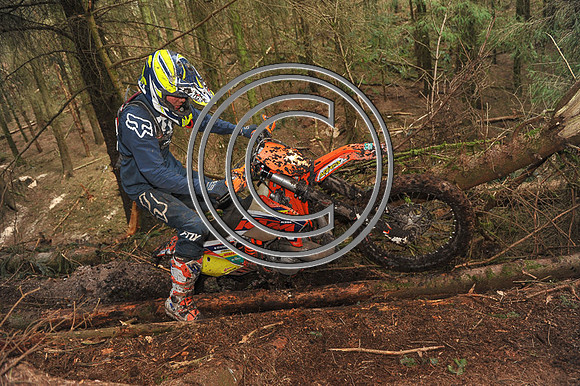 DSC_0101