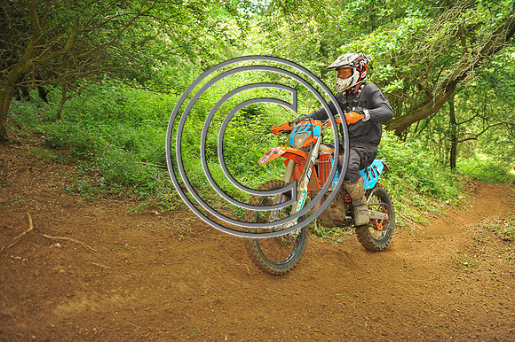 DSC_3551