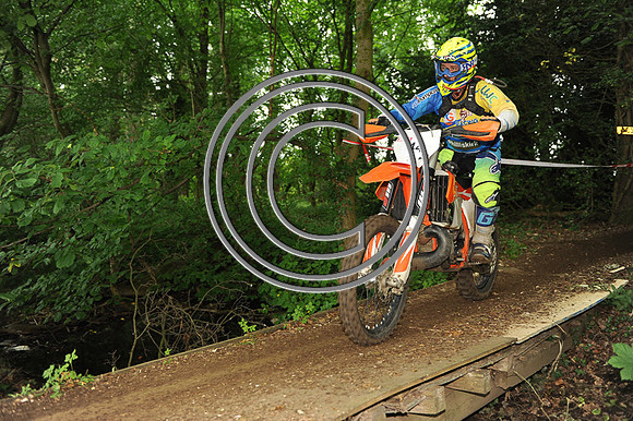 DSC_4210