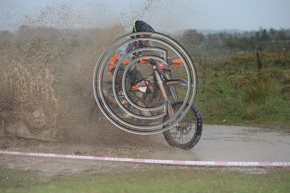 DSC_7977