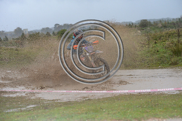 DSC_8000
