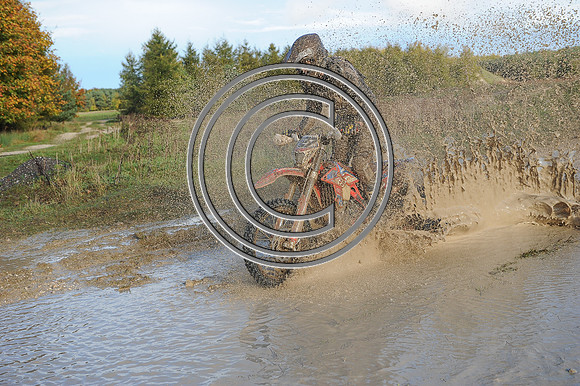 DSC_6986