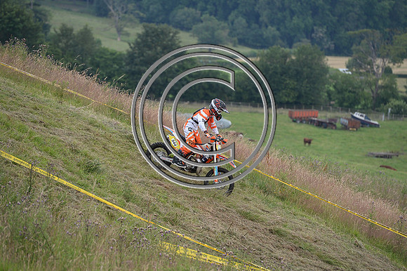 DSC_9910