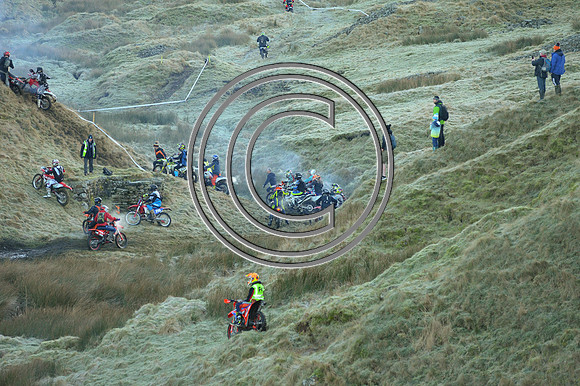 DSC_3770
