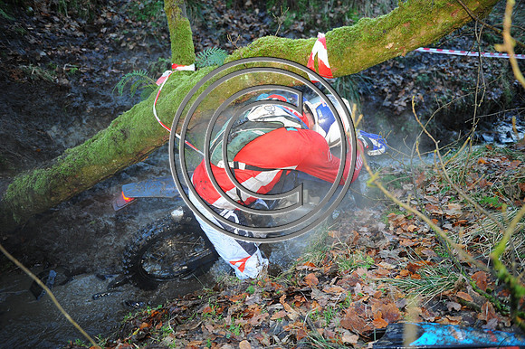 DSC_5599