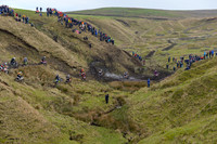 DSC_3873