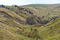 DSC_3874
