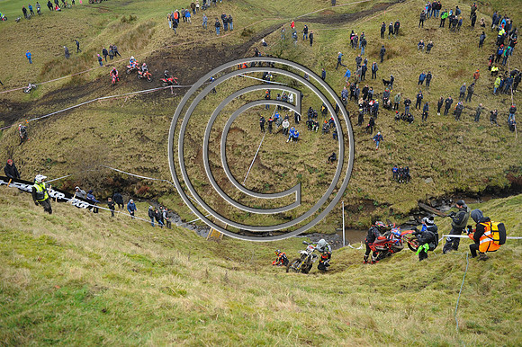 DSC_6086