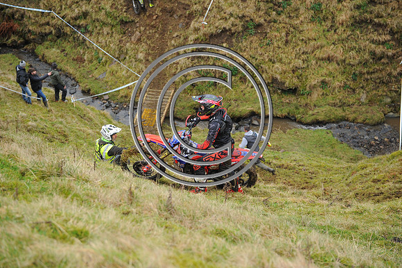 DSC_6098
