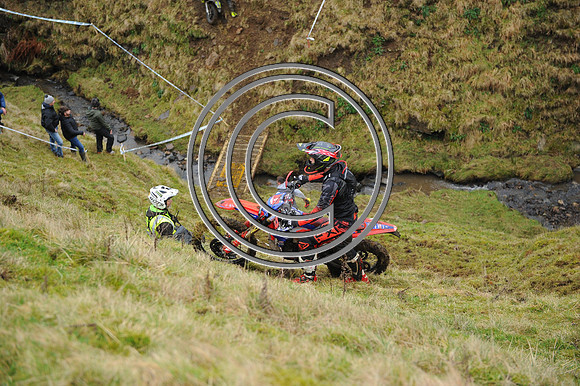DSC_6100