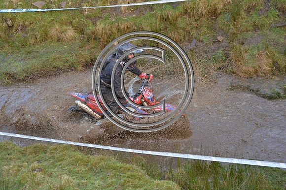 DSC_4006