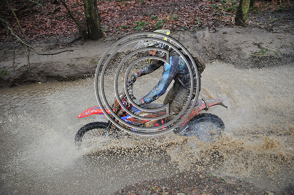 DSC_7032