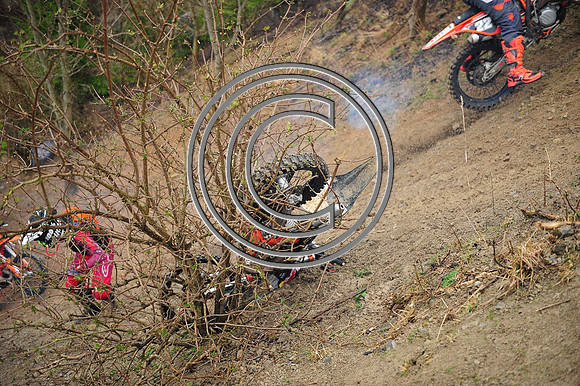 DSC_7520