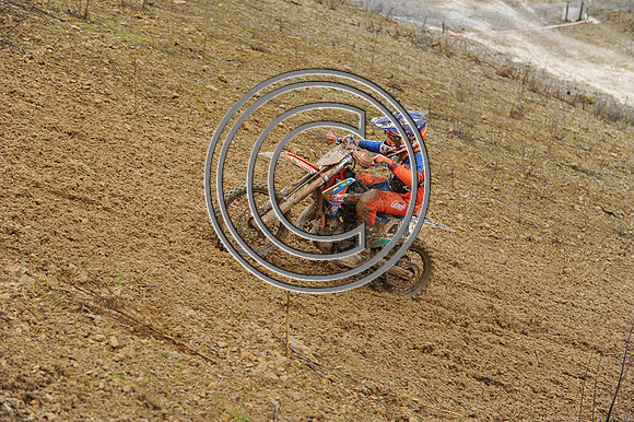 DSC_9001