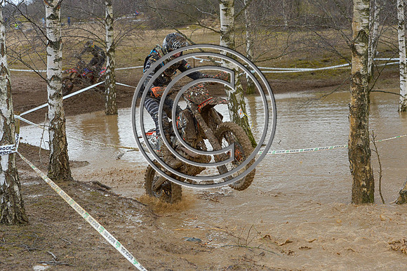 DSC_2331