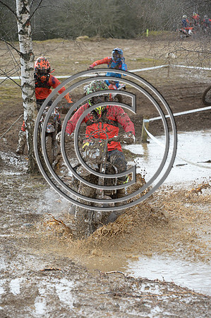 DSC_2343