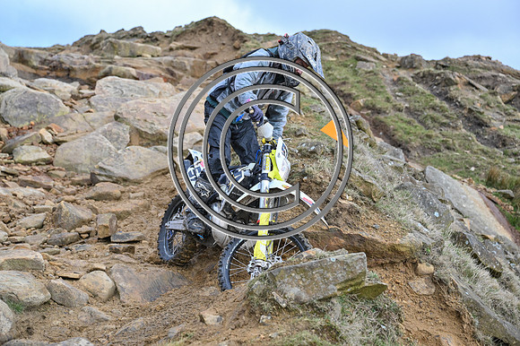 DSC_7929