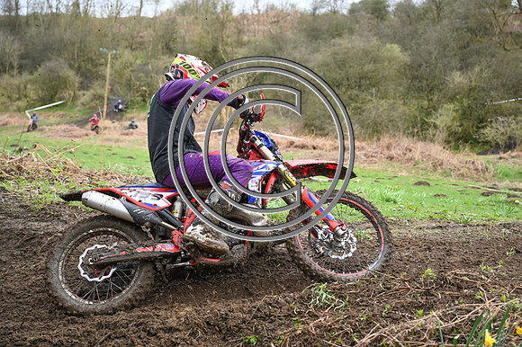 DSC_8308