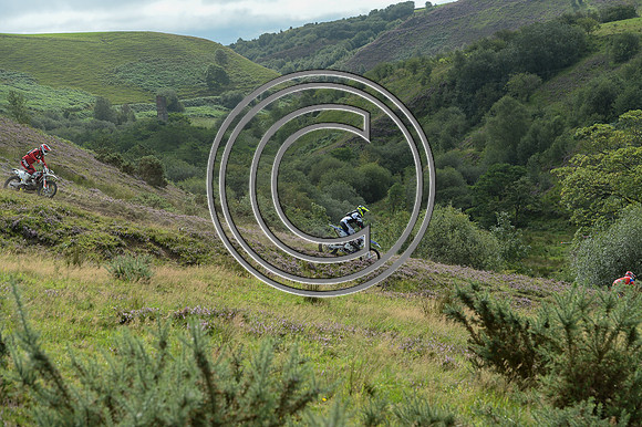 DSC_5291