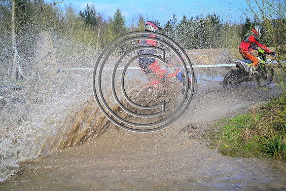 DSC_9529