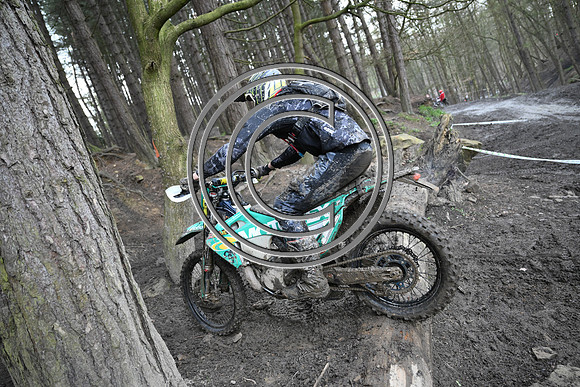 DSC_9800