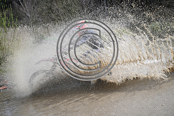 DSC_0040