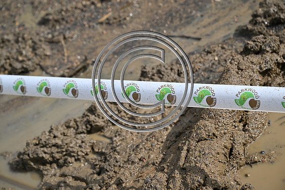 DSC_0124