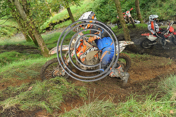 DSC_3037