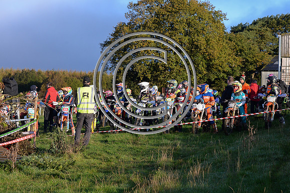 DSC_6421