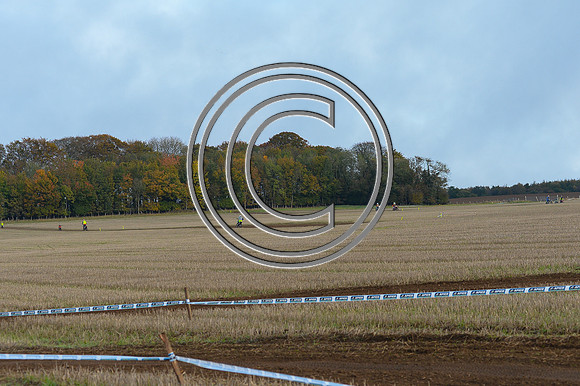 DSC_6584