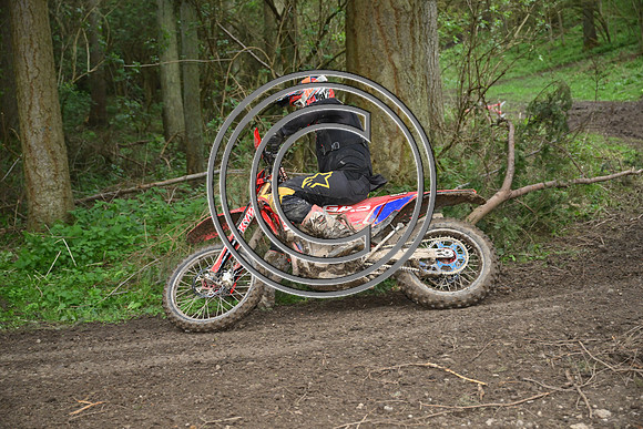 DSC_1785