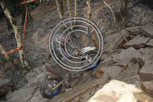 DSC_8462
