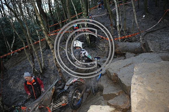 DSC_8483