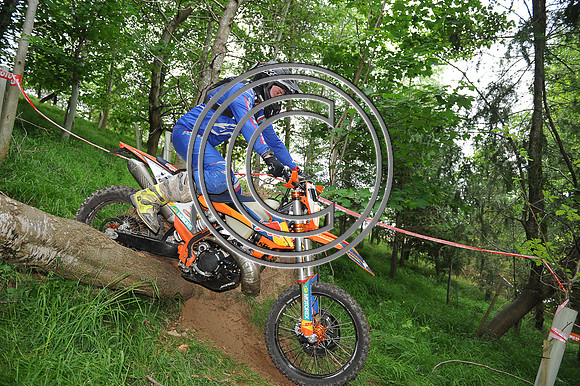 DSC_6013
