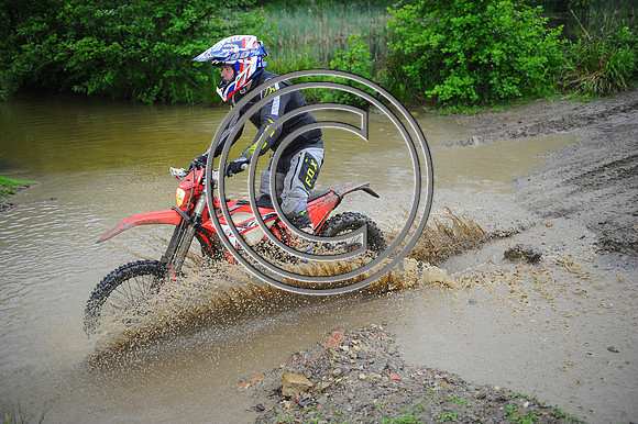 DSC_8771