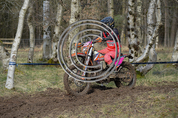 DSC_2993
